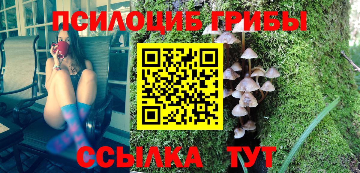 Псилоцибиновые грибы Psilocybe  Галлюциногенные грибы Psilocybine cubensis  Сунжа  Вход с VPN 