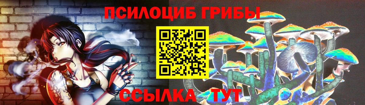 Галлюциногенные грибы Cubensis Сунжа